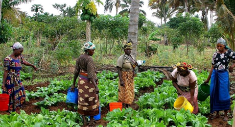 Horticulture & Agricultural Training